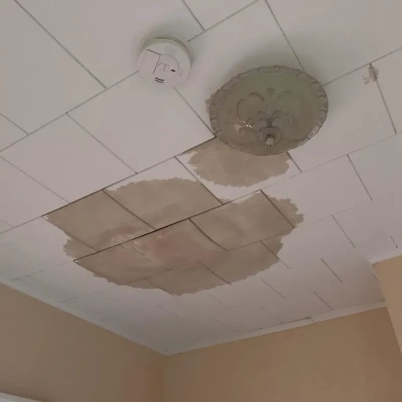 Ceiling Water Damage Repair in Shaw, MS