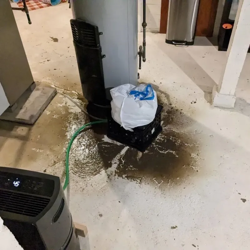 Sewage Backup Cleanup Service in Shaw, MS